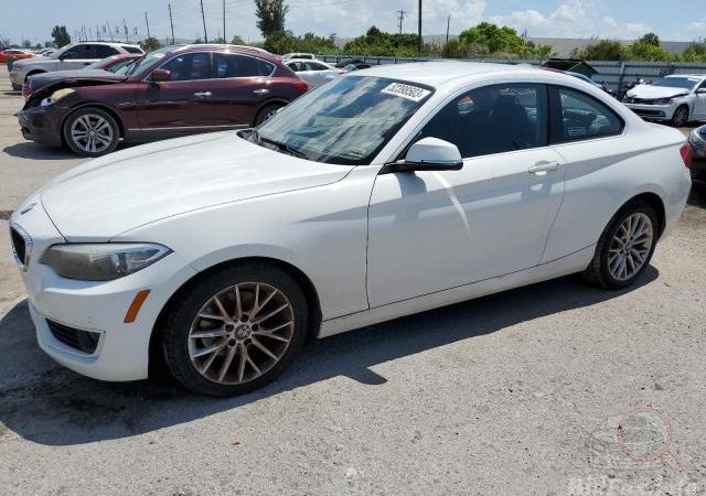 BMW F22 228I 2014 Белый (300) 2000 см3