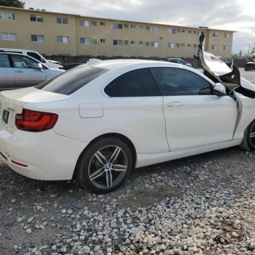 BMW F22 230i 2017 Белый (300) 2000 см3