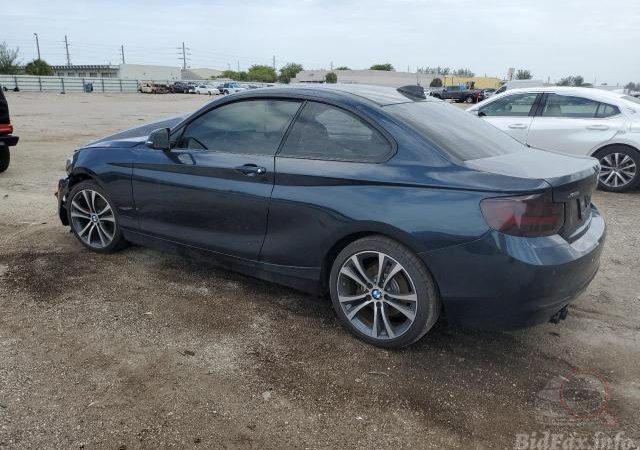 BMW F22 228I 2016 Blue Metallic (B38) 2000 см3