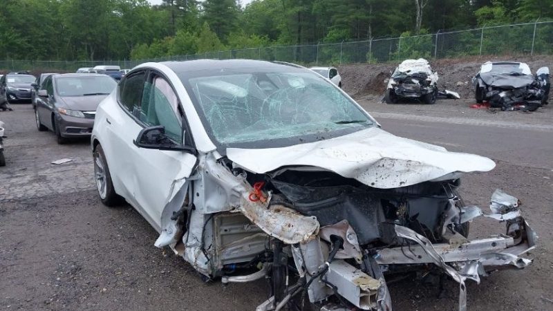 Tesla Model Y 2023 Белый